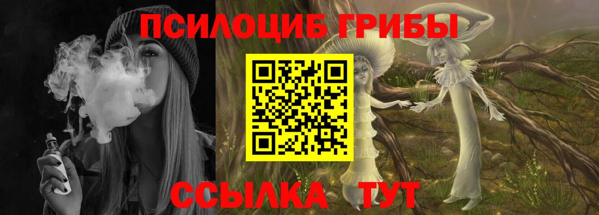 Мирный  Псилоцибиновые грибы прущие грибы  Галлюциногенные грибы мицелий  Вход с VPN 